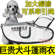 巨型贵宾犬巨贵犬专用狗狗，雨披斗篷雨衣透明大型犬防水遛狗神器