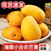 海南小台农芒果10斤新鲜现摘小台芒应当季热带水果特产芒果5