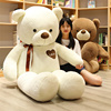 日本抱抱熊泰迪熊布娃娃玩偶，情人节礼物女孩毛绒，玩具熊猫公仔狗熊
