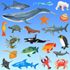 仿真海洋动物模型海底生物世界，儿童玩具龙虾螃蟹章鱼鲨鱼海星海龟