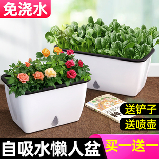 懒人花盆自动吸水种菜神器家庭阳台长方形塑料箱蔬菜种植盆栽专用