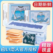 白色恋人饼干日本进口小零食北海道巧克力夹心，曲奇女友情人节礼盒