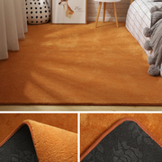 地毯卧室床边毯家用加厚房间，满铺大面积可水洗，地垫客厅地毯茶几毯