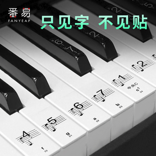 钢琴键盘贴纸88键6154键，透明电子琴贴音符音标琴键贴五线谱简谱