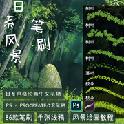 日系风景草木植物场景PS笔刷素材procreate画笔预设送线稿教程