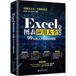 Excel Home Excel图表应用大全-基础卷 office办公自动化新书学电脑Excel实战操作 Excel函数与公式速查手册WPS图表应用大全书