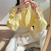 奶黄色长袖衬衫女2024年春季法式泡泡，袖花瓣上衣设计感小众白衬衣(白衬衣)