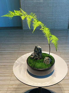 永生苔藓桌花中式现代简约清新风格摆件茶室客厅装饰花艺陶瓷花瓶