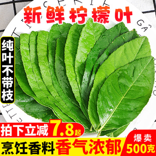 新鲜柠檬叶青柠叶500g烹饪香料西餐，料理冬阴功汤原料(汤，原料)火锅配料