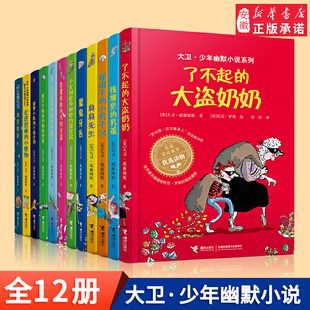 大卫少年幽默小说系列全套12册 了不起的大盗奶奶大卫威廉姆斯世界外国经典儿童文学青少年校园小说小学生课外阅读励志成长书籍