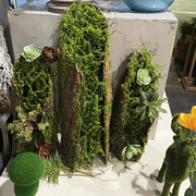 创意树皮多肉苔藓摆放仿真植物，艺术花盆花园橱窗，布景装饰绿植花艺