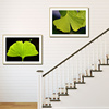 植物树叶装饰画现代家居有框画过道，走廊单幅背景画餐厅客厅挂画