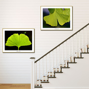 植物树叶装饰画现代家居有框画过道走廊单幅背景画餐厅客厅挂画