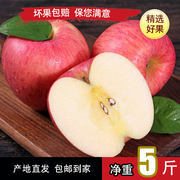 山西红富士新鲜苹果水果孕妇5斤10斤装 整箱当季应季现摘新鲜