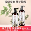 同仁堂生姜防脱洗发水生发增发密发控油去屑丰盈蓬松洗发露