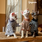 GINGERAIN 无毛猫德文猫衣服阿比西尼亚纯棉保暖卫衣条纹打底衫