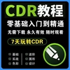 cdr零基础教程视频coredraw平面，设计广告排版美工，修图logo字体cdr