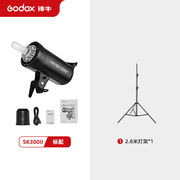 神牛（Godox）SK300II二代闪光灯300W影棚人像静物补光摄影灯SK30