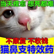 猫鼻支特效药治疗猫咪感冒药，打喷嚏流鼻涕鼻炎鼻塞营养液药专用