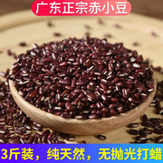 3斤广东正宗的赤小豆农家自产纯天然长粒有机红豆赤豆杂粮用