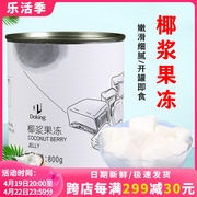 盾皇椰子冻罐头800g网红椰奶冻即食海南椰浆味果冻甜品奶茶店原料
