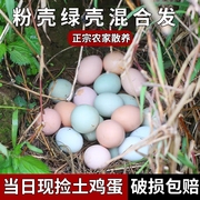 正宗土鸡蛋农家散养新鲜纯农村自养50枚草鸡蛋笨鸡蛋，乌鸡蛋绿壳蛋