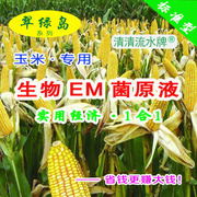 翠绿岛玉米种植专用-生物em菌原液日本产的品质好效果好