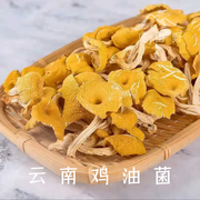 鸡油菌干货高山农家种植特产山货火锅煲汤农产品菌菇云南菌菇干货