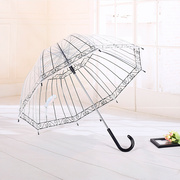 韩国创意阿波罗透明伞长柄，清新花边拱形鸟笼伞，自动直杆公主雨伞