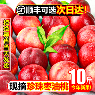 云南珍珠枣油桃10斤新鲜水果当应季孕妇桃子甜脆小蜜桃子早桃整箱