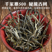 千家寨古树茶·500云南无量山 普洱茶生茶散茶 200克茶饼