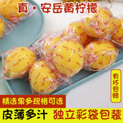 安岳黄柠檬新鲜1/3/5/9斤皮薄多汁非香水组合尝鲜装整箱