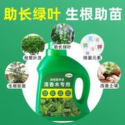 清香木专用肥营养液胡椒木肥料水培植物复合有机绿植花卉园艺盆景