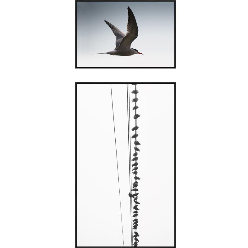 Hot-selling uninhibited Modern minimalist Entrance door Decorative painting Double white Hanging picture Corridor Aisle originalityin the Home accessories , Decorative painting , Modern decorative painting category - from Buy2taobao.com to provide professional Taobao agent buy service