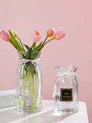 两个装花瓶北欧欧式摆件客厅透明玻璃简约水养插花干花器鲜花