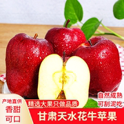 甘肃天水花牛苹果新鲜水果整箱当季红粉面苹果9斤大果
