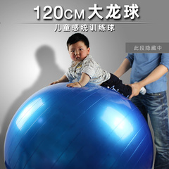 感统球120cm大龙球儿童宝宝专用