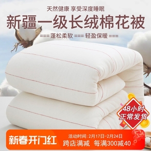 新疆一级长绒棉被纯棉花被子棉絮，床垫被褥子，秋冬被芯加厚保暖冬季