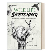 英文原版wildlifesketching野生动物素描钢笔，铅笔蜡笔和木炭画英文版进口英语原版书籍