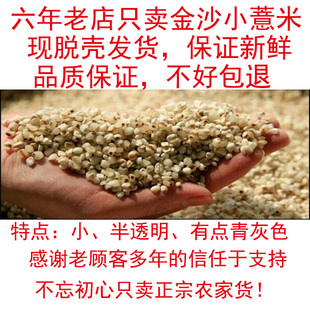 新货农家自产福建莆田龙华金沙小薏米薏仁2斤