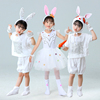 儿童小兔子演出服小白兔子动物，表演服装幼儿园舞台舞蹈纱裙
