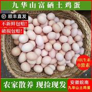 九华山土鸡蛋农家山林散养土鸡蛋可生食土鸡蛋草鸡蛋正宗散养鸡蛋