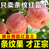 烟台红富士苹果水果新鲜条纹脆甜一级当季9斤整箱山东栖霞