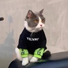 猫咪秋冬衣服狗狗潮流时尚卫衣布偶蓝猫雪纳瑞小型犬宠物加绒卫衣