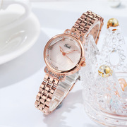 歌迪水钻女士手表时尚玫瑰合金，钢带手表圆形，石英普通国产腕表
