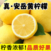 四川安岳黄柠檬(黄柠檬，)5斤新鲜皮薄一级当季新鲜水果香水鲜甜青柠檬