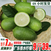 广东海南香水青柠檬，10斤新鲜应当季水果鲜柠檬皮薄多汁一