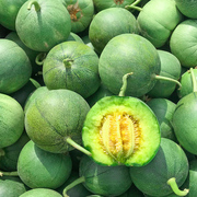 绿宝石冰翡翠超甜薄皮甜瓜，种苗春季四季蔬，菜种孑香瓜种籽