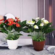 红掌仿真花白掌假花盆栽落地大绿植客厅室内花装饰仿真植物塑料花