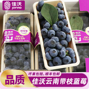 佳沃串果蓝莓鲜果250g盒装云南带枝甜蓝莓新鲜孕妇水果